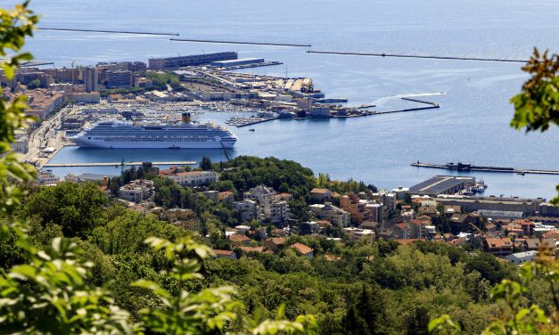 Cruises, Trieste is a candidate but protest in Venice