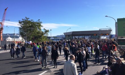 Porto di Trieste, niente blocchi ma operatività ridotta