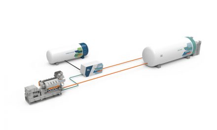 Wartsila e RINA, un progetto per produrre idrogeno a bordo