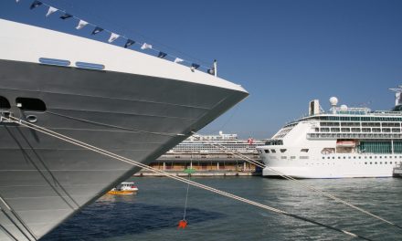 Crociere e container a Venezia: 11 proposte all’Authority per l’ormeggio fuori laguna