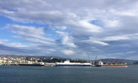 Porto di Trieste, Turchia sugli scudi: in arrivo altri servizi Ro-Ro anche a PLT