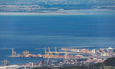 Porto di Trieste, aumento dei costi: servono nuovi fondi per i grandi progetti<h2 class='anw-subtitle'>D'Agostino: «Siamo tra le opere prioritarie a livello nazionale, con mix tra interessi pubblici e privati, non credo ci saranno problemi»</h2>