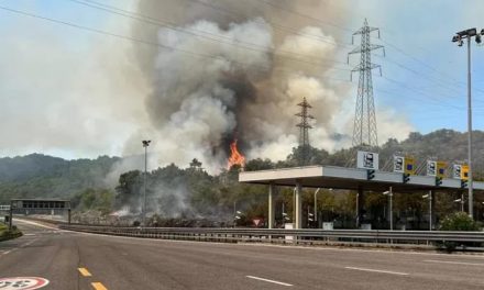 Porto di Trieste, treni bloccati da incendio sul Carso<h2 class='anw-subtitle'>I convogli diretti verso l'Italia sono fermi da oggi pomeriggio. Riaperta la rete slovena</h2>