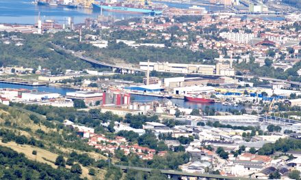 Wartsila, agitazione in Seadock blocca trasferimento motori<h2 class='anw-subtitle'>Una delegazione Daewoo in visita a Trieste. Retromarcia del sindaco Dipiazza sull’ordinanza “blocco motori”</h2>