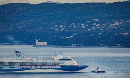 Trieste, presidente Regione con ministro Turismo: forte progresso crociere<h2 class='anw-subtitle'>Confermata la volontà dell'amministrazione regionale di sostenere l'attività delle “navi bianche”</h2>