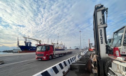 Porto di Monfalcone in crescita: mancano uomini e mezzi<h2 class='anw-subtitle'>Cetal (Gruppo Grimaldi) cerca nuovi spazi, mentre l'Impresa Alto Adriatico valuta nuove assunzioni</h2>