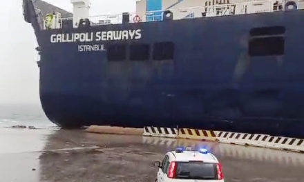 Maltempo a Trieste, Ro-Ro rompe gli ormeggi<h2 class='anw-subtitle'>Divelta una bitta alla Stazione marittima. Incidente al porto di Capodistria: vigile del fuoco colpito da un fulmine</h2>