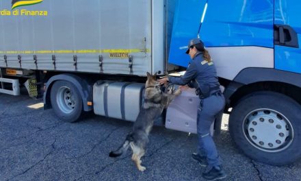 Contrabbando di gasolio in Fvg: controlli e sequestri<h2 class='anw-subtitle'>Gdf e Polstrada attive sulla rete stradale regionale: traffico dall'Ungheria al Sud Italia</h2>