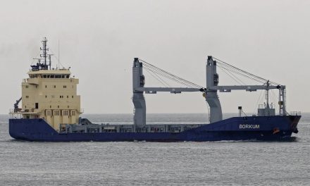 Partita da Capodistria è a Venezia la nave sospettata di portare armi per Israele<h2 class='anw-subtitle'>La Borkum ha lasciato il porto sloveno venerdì, dopo giorni di polemiche innescate dalle organizzazioni filo-palestinesi</h2>